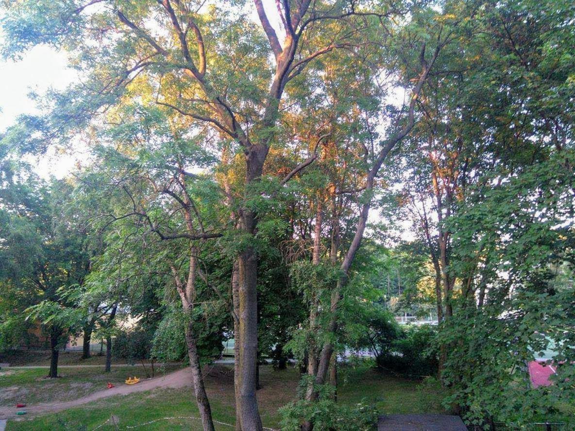 Kawalerka Na Starym Zoliborzu Apartamento Varsóvia Exterior foto